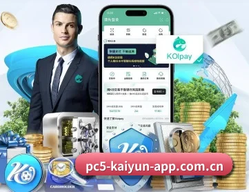 开·云app登录入口下载 APP 深度功能