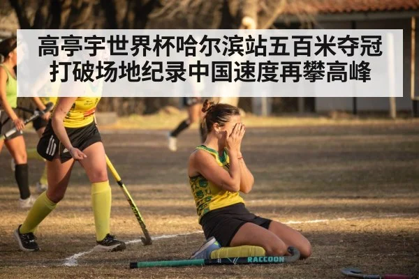 高亭宇世界杯哈尔滨站五百米夺冠打破场地纪录中国速度再攀高峰
