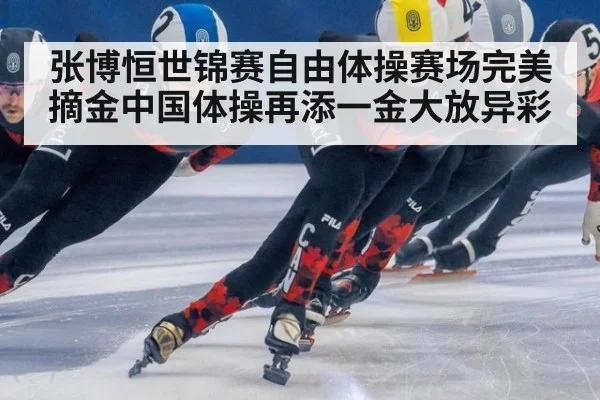 张博恒世锦赛自由体操赛场完美摘金中国体操再添一金大放异彩