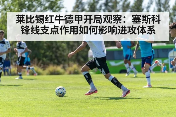 soccer team tactical training